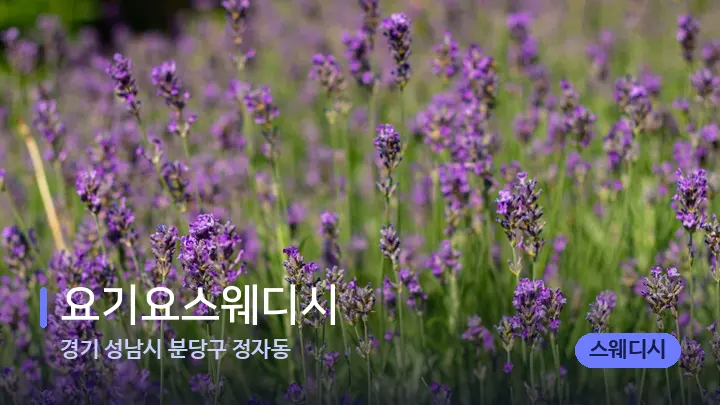 경기 성남시 분당구 정자동 요기요스웨디시 — 아로마테라피 오일