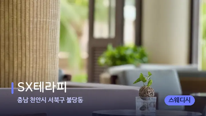 충남 천안시 서북구 불당동 SX테라피 — 스파 프런트 공간