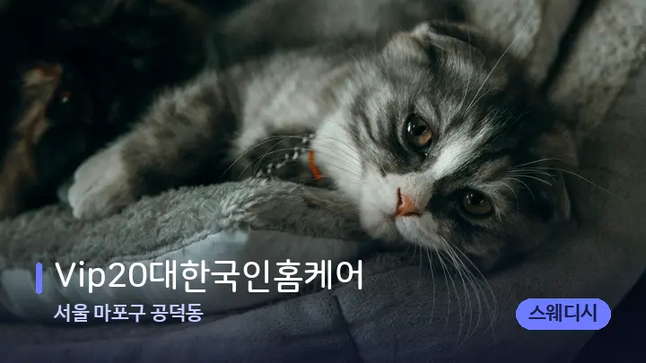 서울 마포구 공덕동 Vip20대한국인홈케어 — 휴식 분위기의 스파 베드