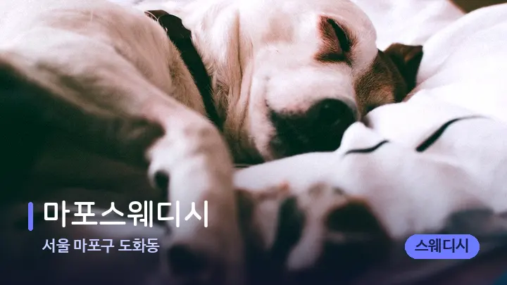 서울 마포구 도화동 마포스웨디시 — 휴식 분위기의 스파 베드