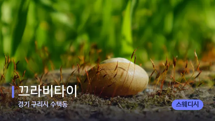 경기 구리시 수택동 끄라비타이 — 마사지용 스톤