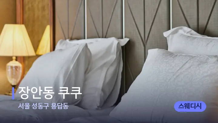 서울 성동구 용답동 장안동 쿠쿠 — 휴식 분위기의 스파 베드