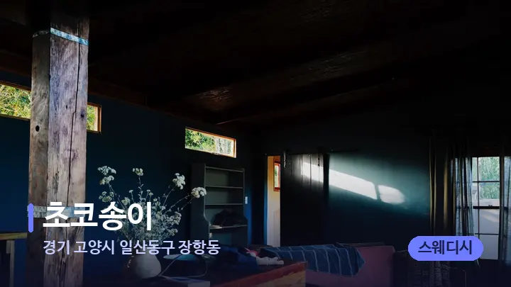 경기 고양시 일산동구 장항동 초코송이 — 마사지 베드가 놓인 관리실