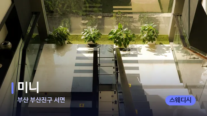 부산 부산진구 서면 미니 — 웰니스 스파 공간