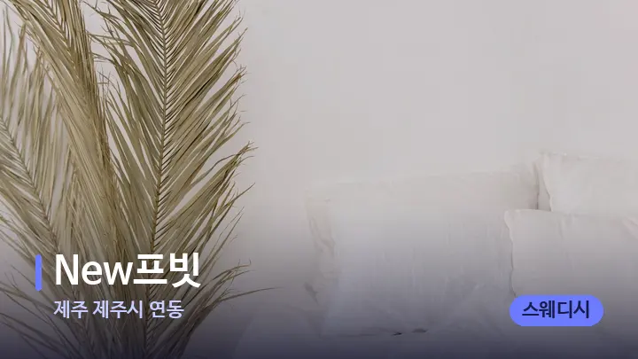제주 제주시 연동 New프빗 — 휴식 분위기의 스파 베드