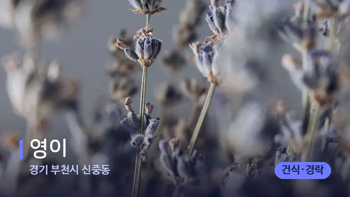 경기 부천시 신중동 영이 — 아로마테라피 오일