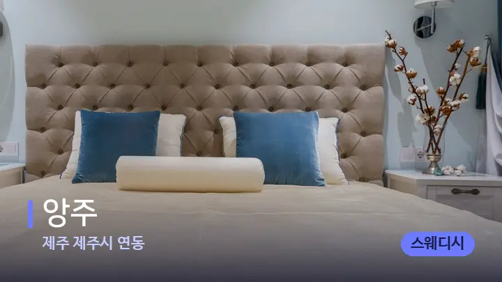 제주 제주시 연동 앙주 — 휴식 분위기의 스파 베드
