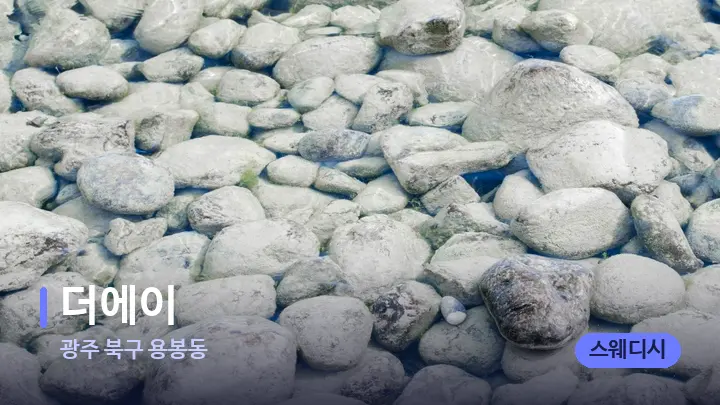 광주 북구 용봉동 더에이 — 마사지용 스톤