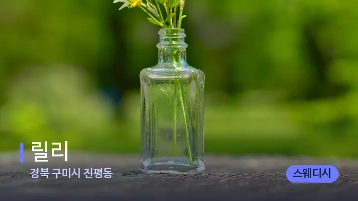 경북 구미시 진평동 릴리 — 아로마테라피 오일