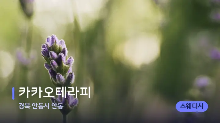 경북 안동시 안동 카카오테라피 — 아로마테라피 오일